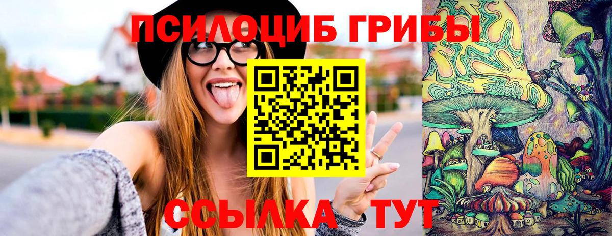 Конопля Балтийск