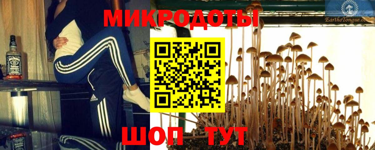 Галлюциногенные грибы мицелий  Псилоцибиновые грибы Cubensis  продажа наркотиков  Балтийск  Вход с VPN 