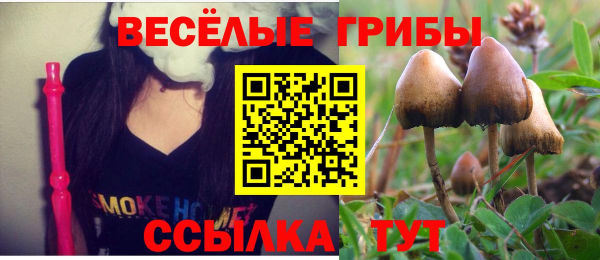 Галлюциногенные грибы MAGIC MUSHROOMS Балтийск