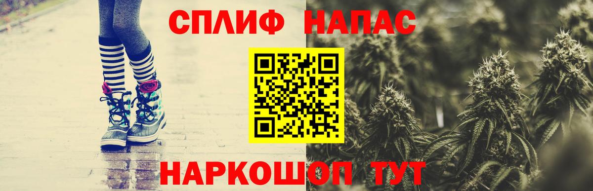 Марихуана марихуана Балтийск
